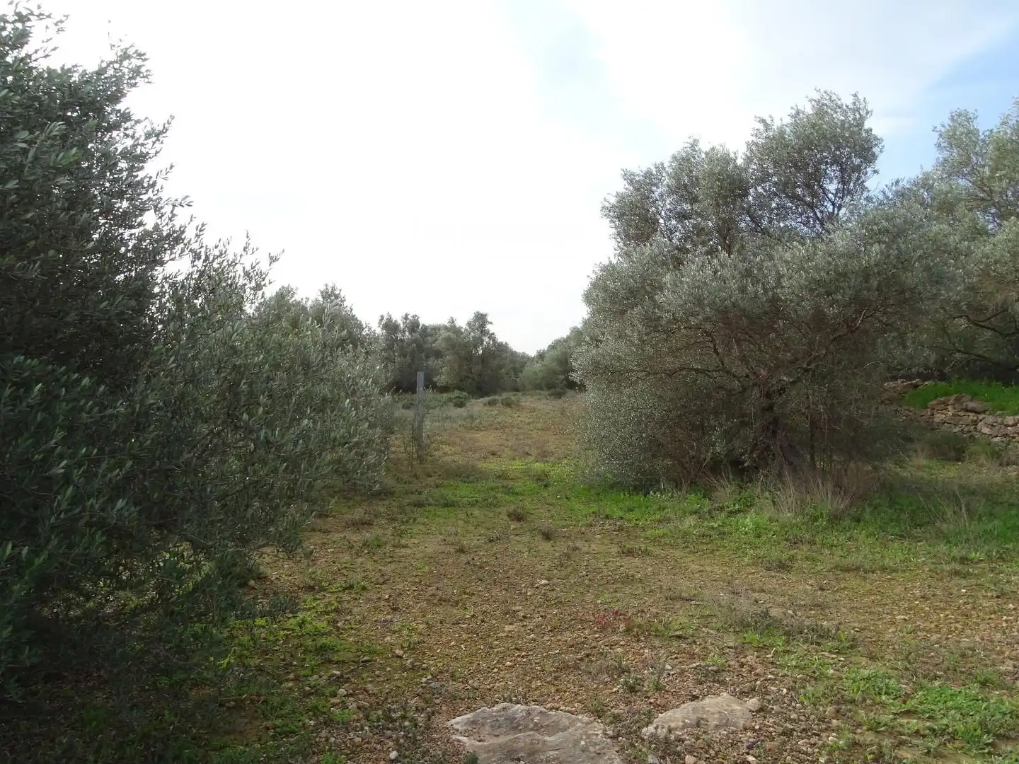 Terrain résidentiel à vendre à 16, imagen 15
