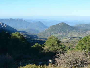 Terreno residencial en venta en El Bosque