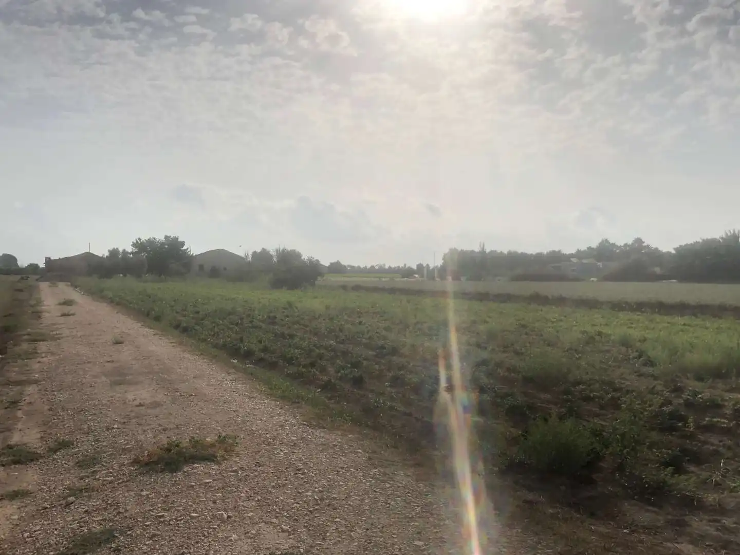 Terreny industrial en venda en Callosa de Segura