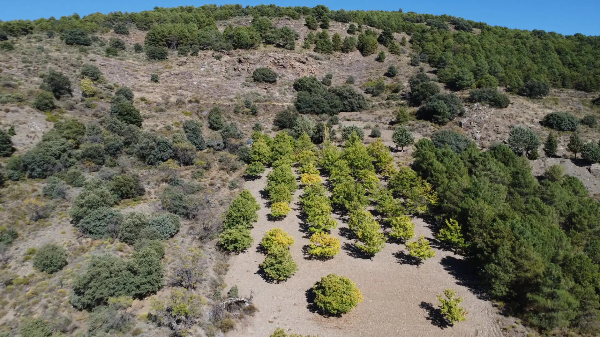 Finca rústica en venda en Válor amb Jardí privat i Terrassa
