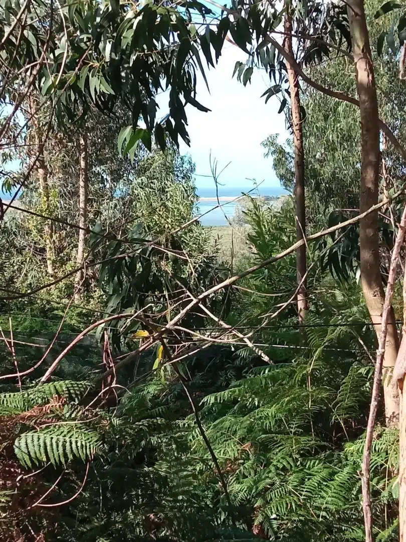 Terrenys i solars en venda a Valdoviño, imagen 5