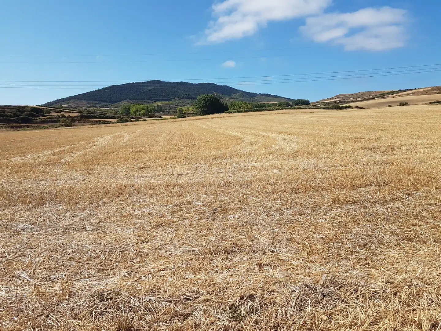 Terrain rustique à vendre à Clavijo, imagen 2