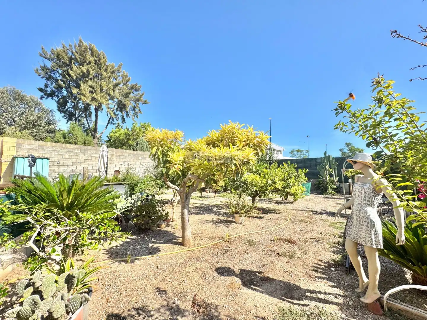 Garden of Houses for sale in Palmera  with Air Conditioner, Terrace and Storage room
