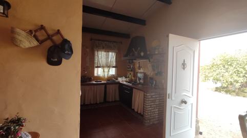 Foto 5 de Finca rústica en venta en Pelagatos - Pago del Humo, Cádiz