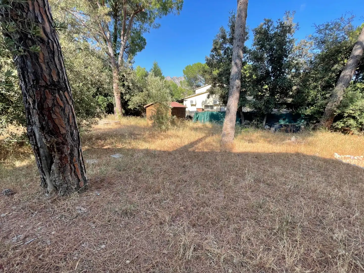 Terrenys i solars en venda a Collbató