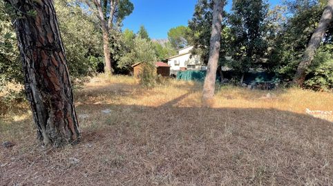TERRENY URBÀ DE 510 m2 EN VENDA A CAN DALMASES, COLLBATÓ