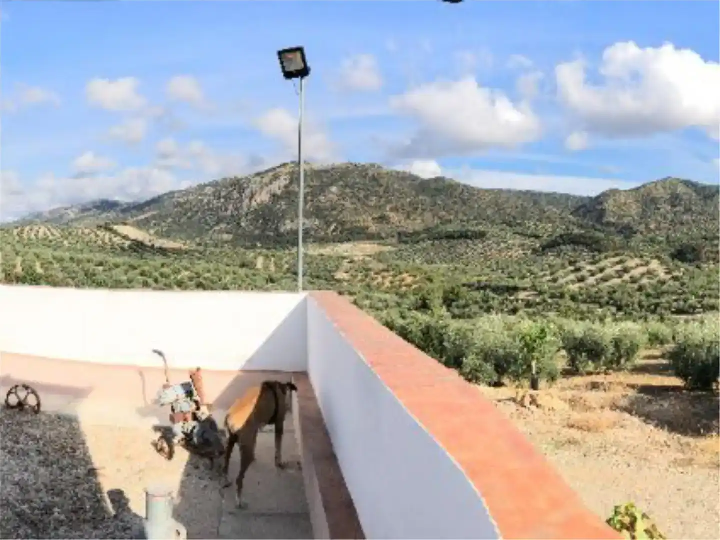 Vista exterior de Finca rústica en venda en Córdoba amb Aire condicionat, Jardí privat i Moblat