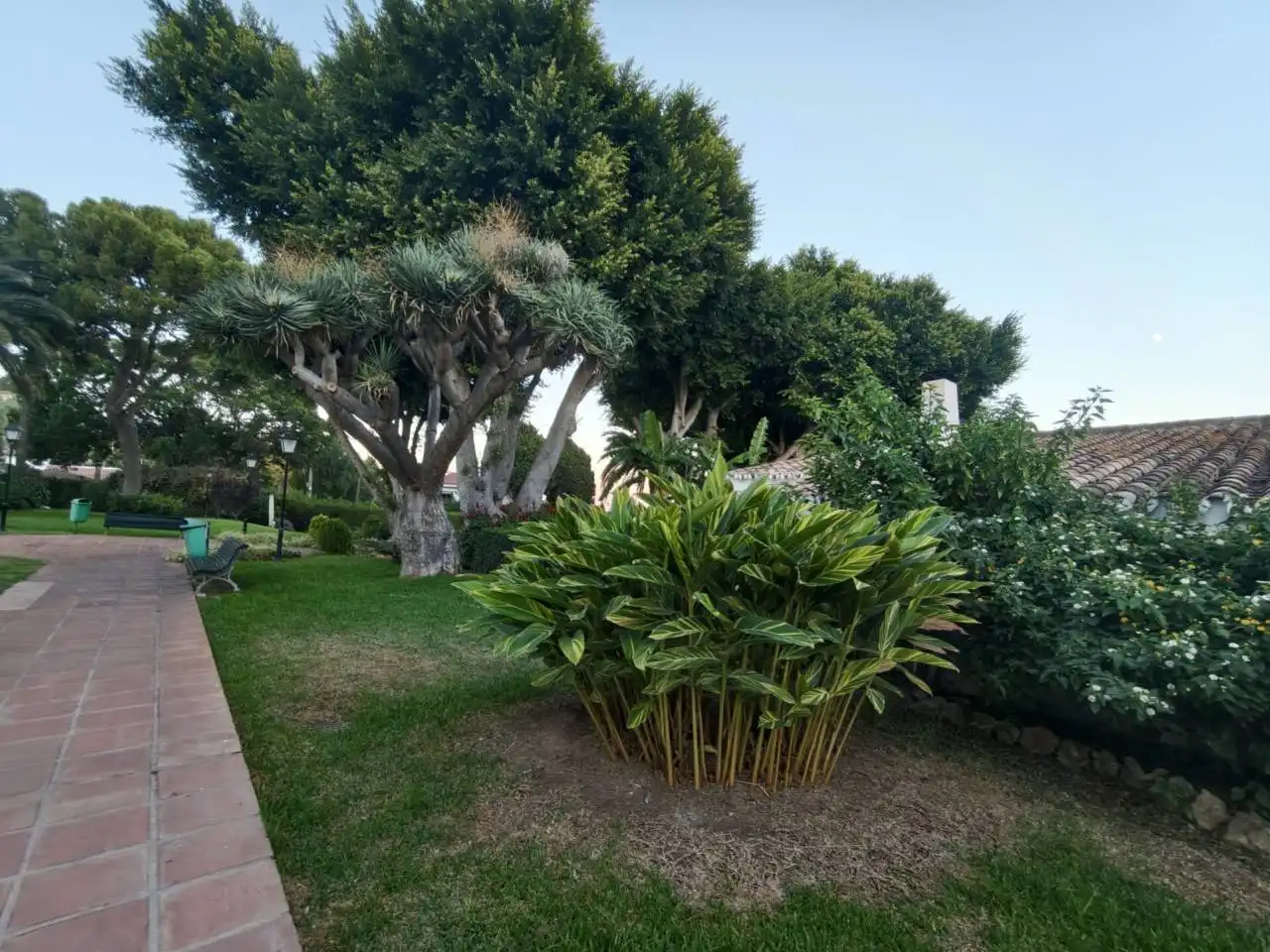 Jardí de Apartament en venda en Montemar 