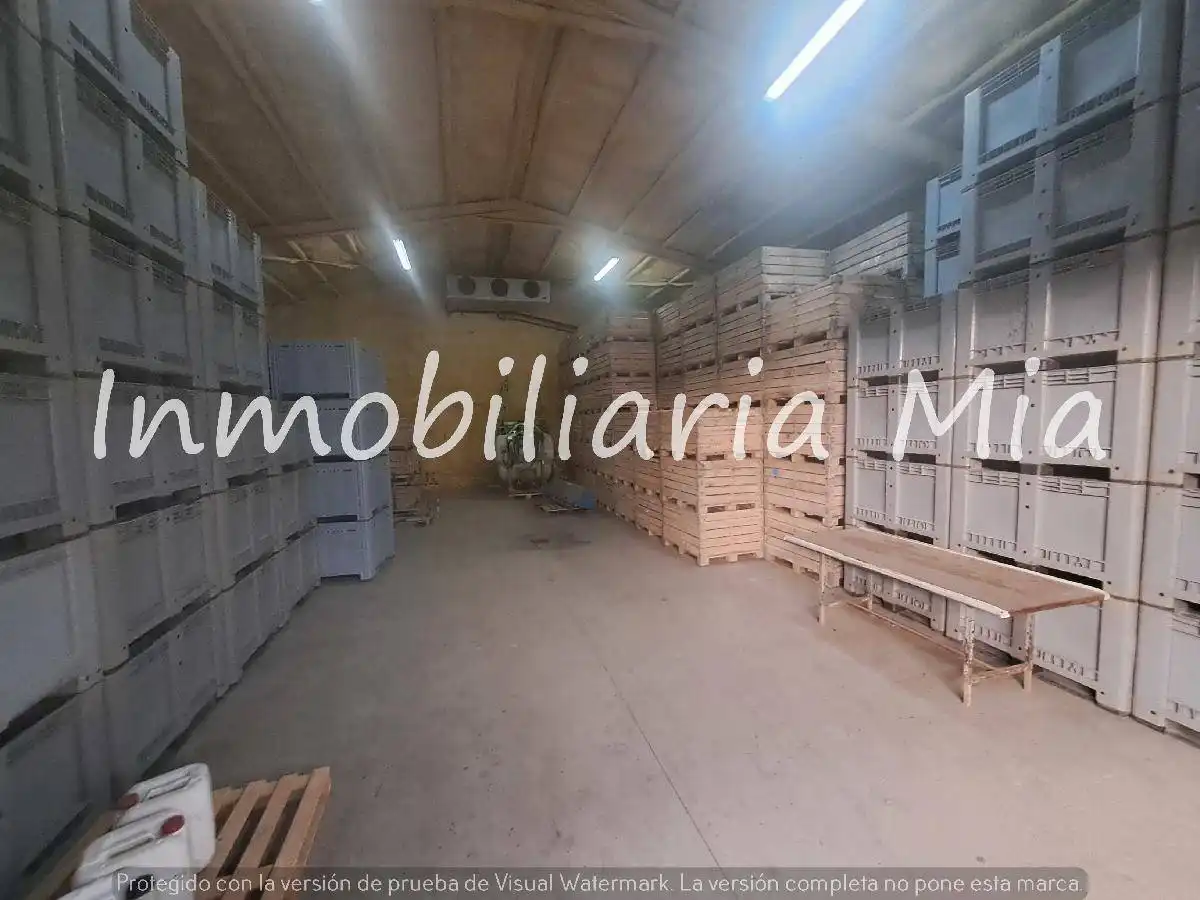 Houses for sale in Zarzalico