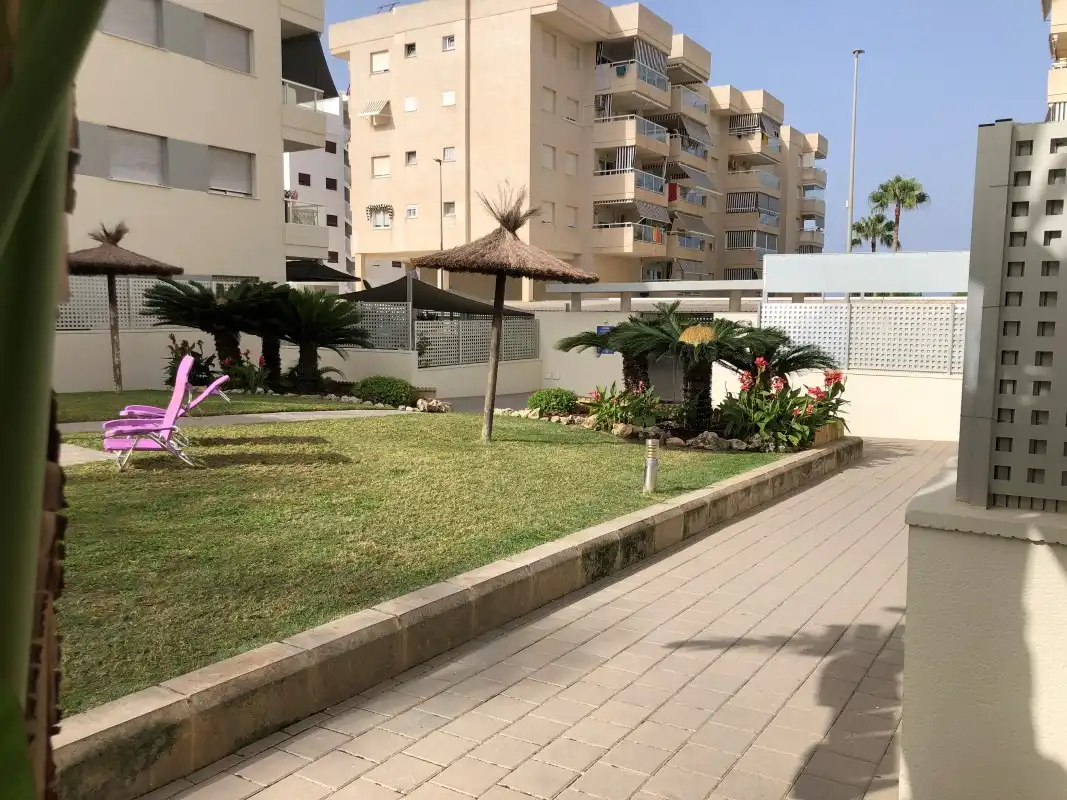 Estudio de alquiler en Carrer Dénia, Daimús