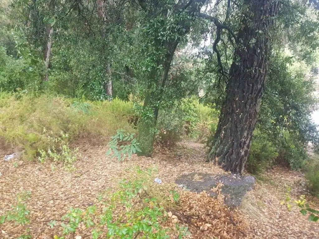 Rural land for sale in Ur Pla de Sant Llorenç, Paseo del Munt, imagen 6