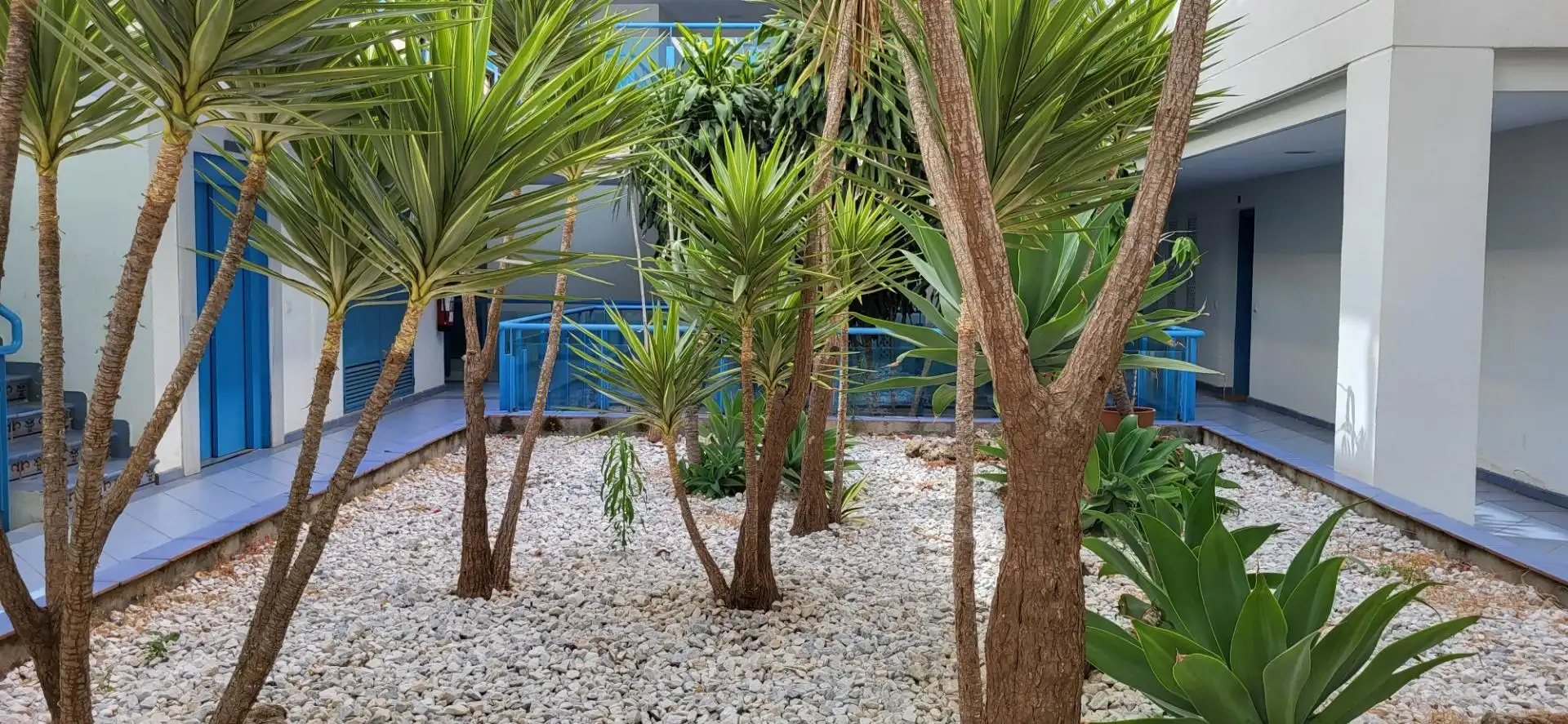Terrassa de Apartament de lloguer en Marbella amb Jardí privat, Terrassa i Moblat