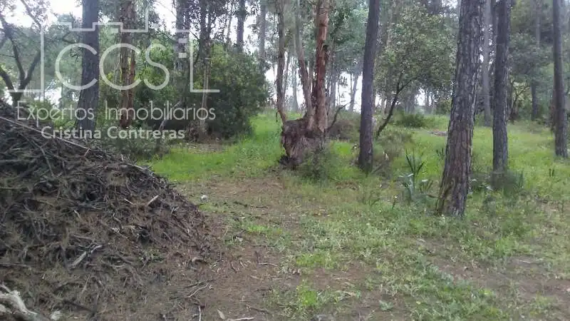 Casa rústica en venda a Almonte ciudad, imagen 24