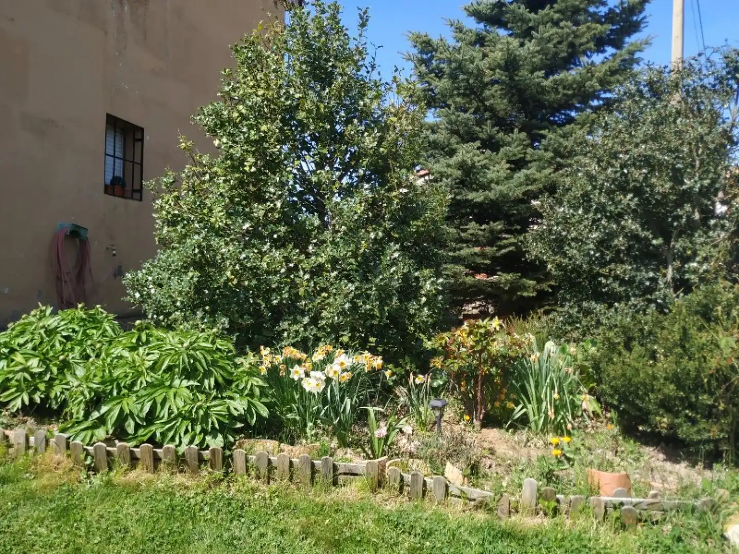 Jardí de Casa o xalet en venda en Valle de Valdelucio amb Calefacció, Jardí privat i Parquet