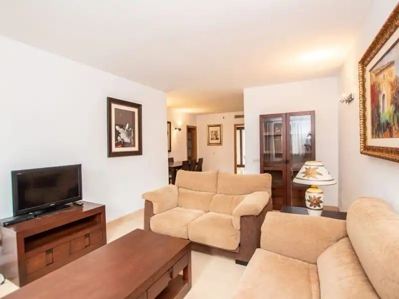 Ground floor to rent in Arnau Rigo Francisá 9