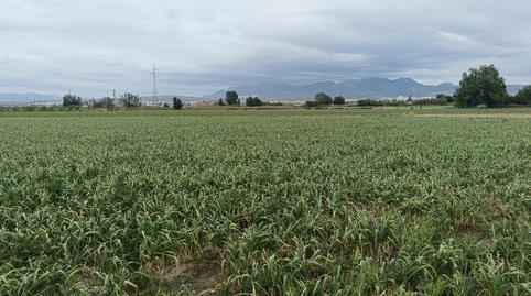 Foto 3 de Finca rústica en venda a Purchil, Granada