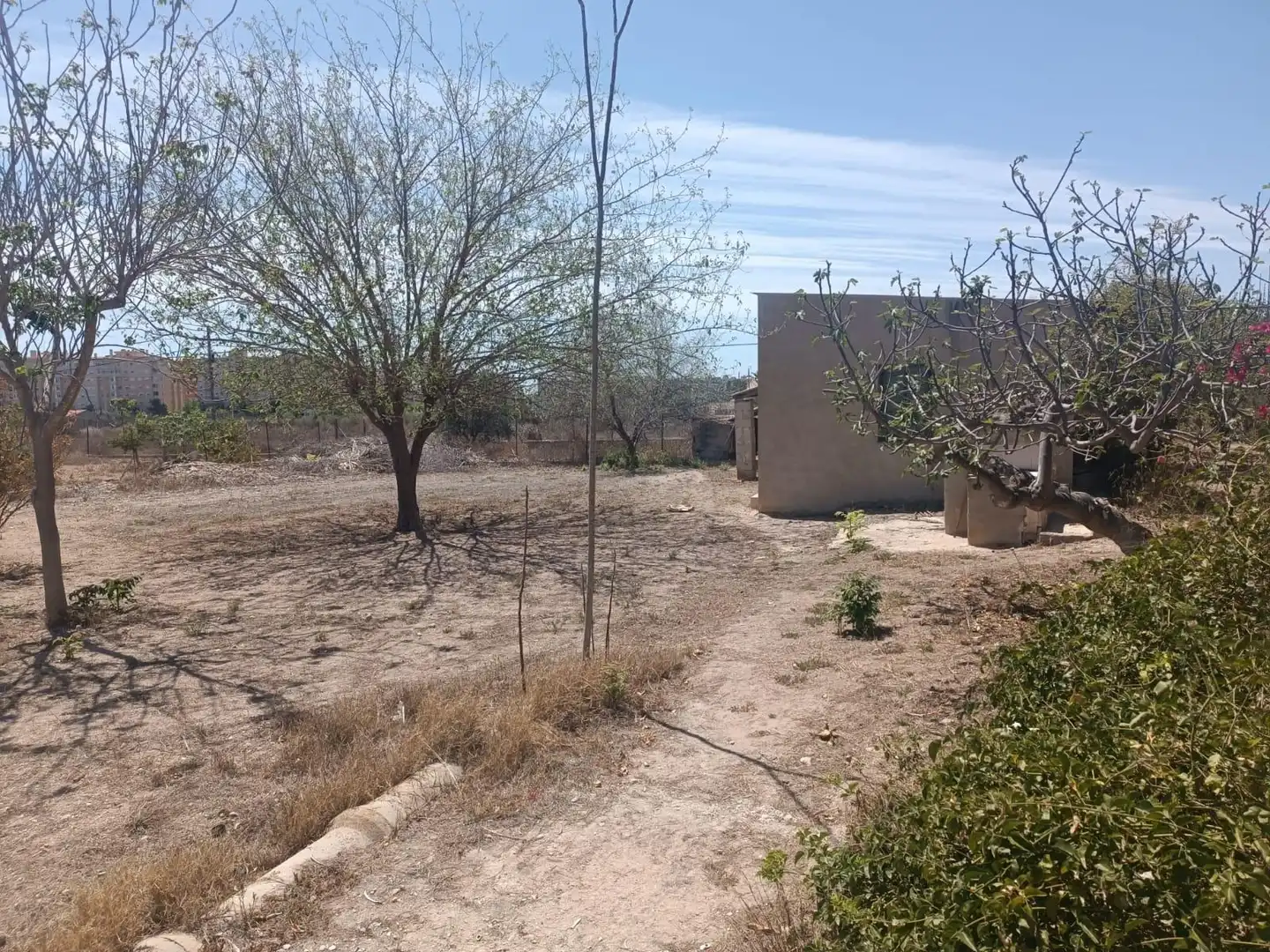 Residential for sale in Elche / Elx