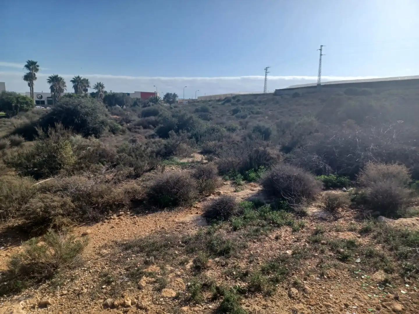 Terreno residenziale in vendita a Las Norias, imagen 8