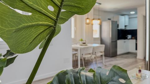 Foto 5 de Casa o xalet en venda a Calle Monda, 10, Barrio de Ciudad Jardín, Málaga Capital