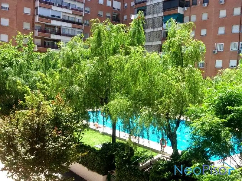 Piscina de Pis en venda en Alcorcón amb Terrassa i Piscina