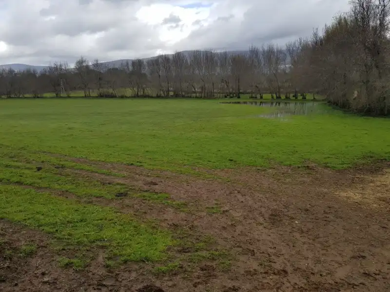 Terreni e lotti in vendita a Tejeda de Tiétar, imagen 4