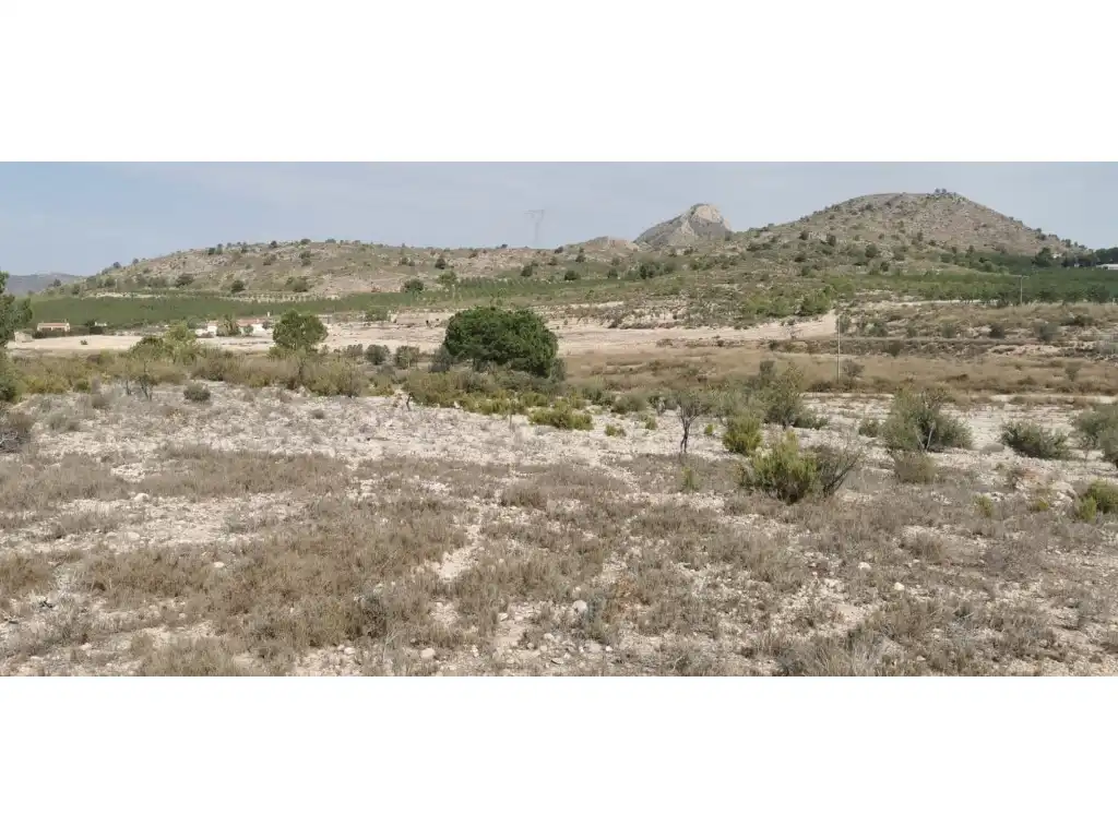 Terreno residenziale in vendita a Salinas