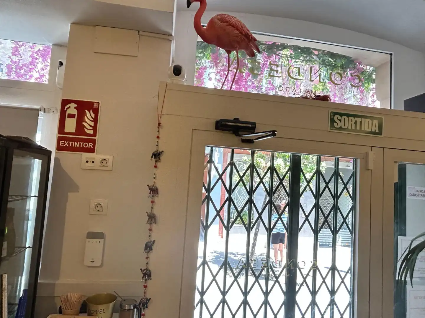 Gewerbefläche zur Miete in Calle de Sant Agustí, imagen 16