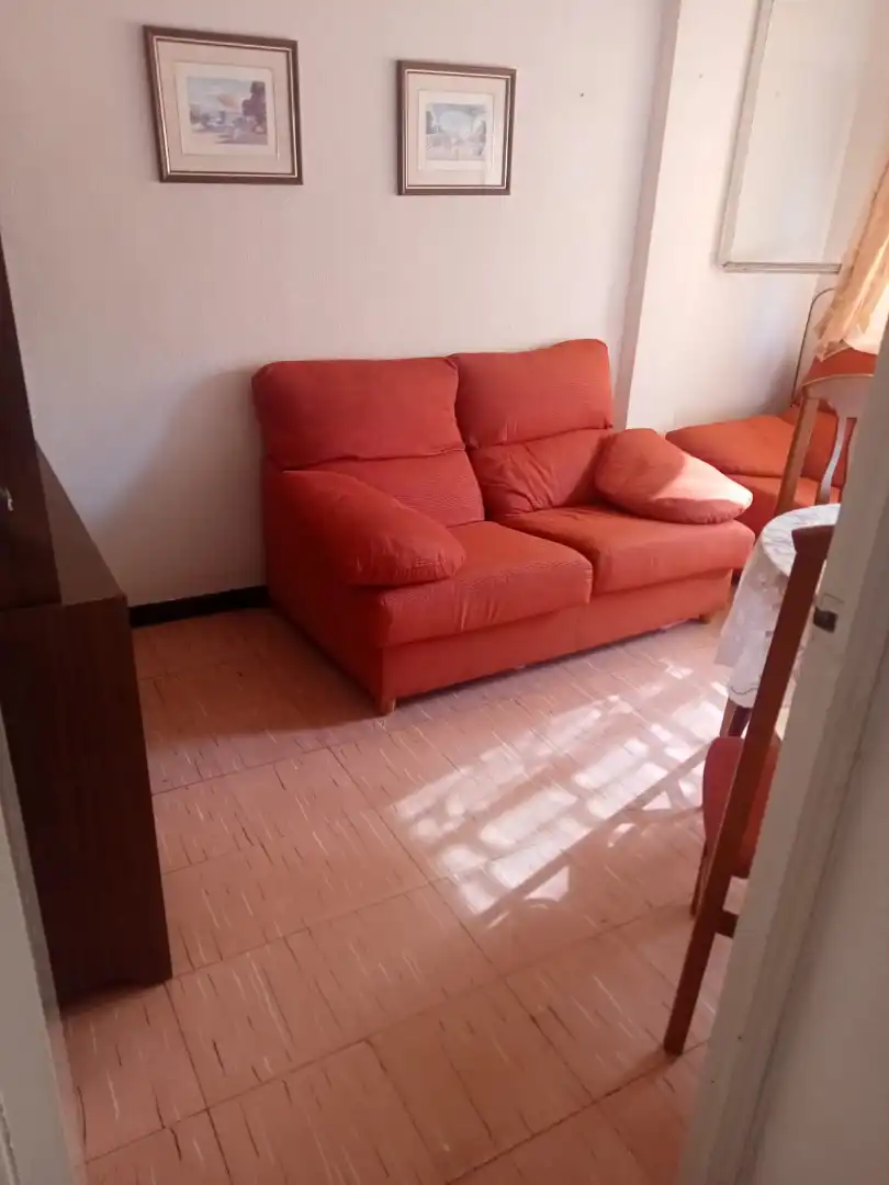 Sala d'estar de Pis de lloguer en Elche / Elx amb Moblat