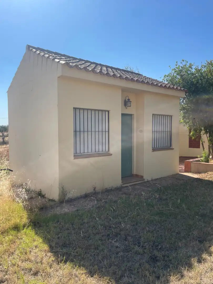Vista exterior de Finca rústica en venta en Ayamonte con Jardín privado y Terraza