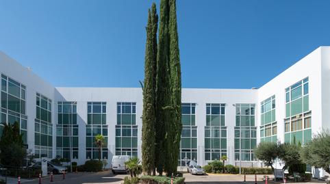 Foto 2 de Oficina de lloguer a Calle San Severo, 30, Alameda de Osuna, Madrid