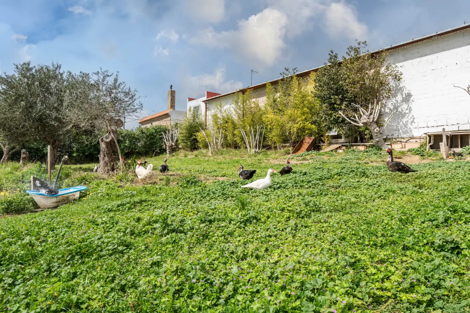 Casa o xalet en venda en Chiclana de la Frontera amb Aire condicionat, Calefacció i Jardí privat