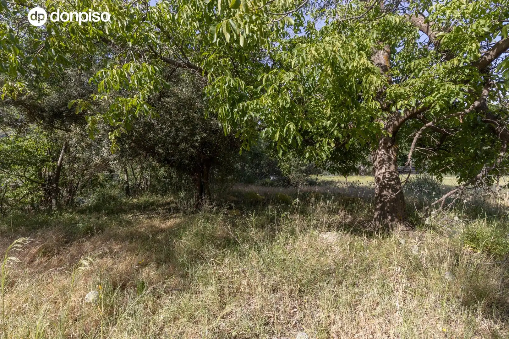 Lands and plots for sale in Carretera de Maitena, imagen 16