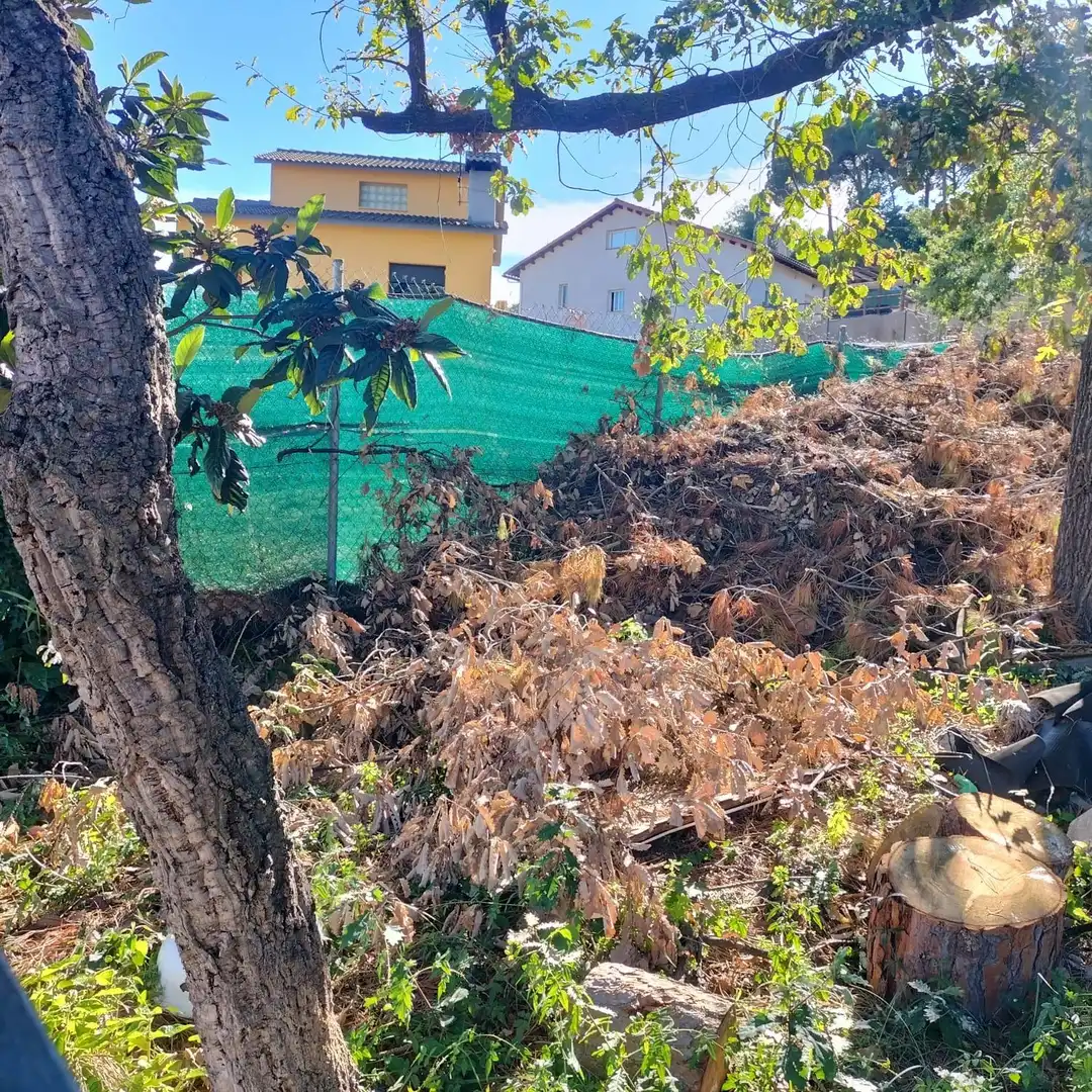 Terrain résidentiel à vendre à Carrer Carrer de Miquel Àngel 161, imagen 10