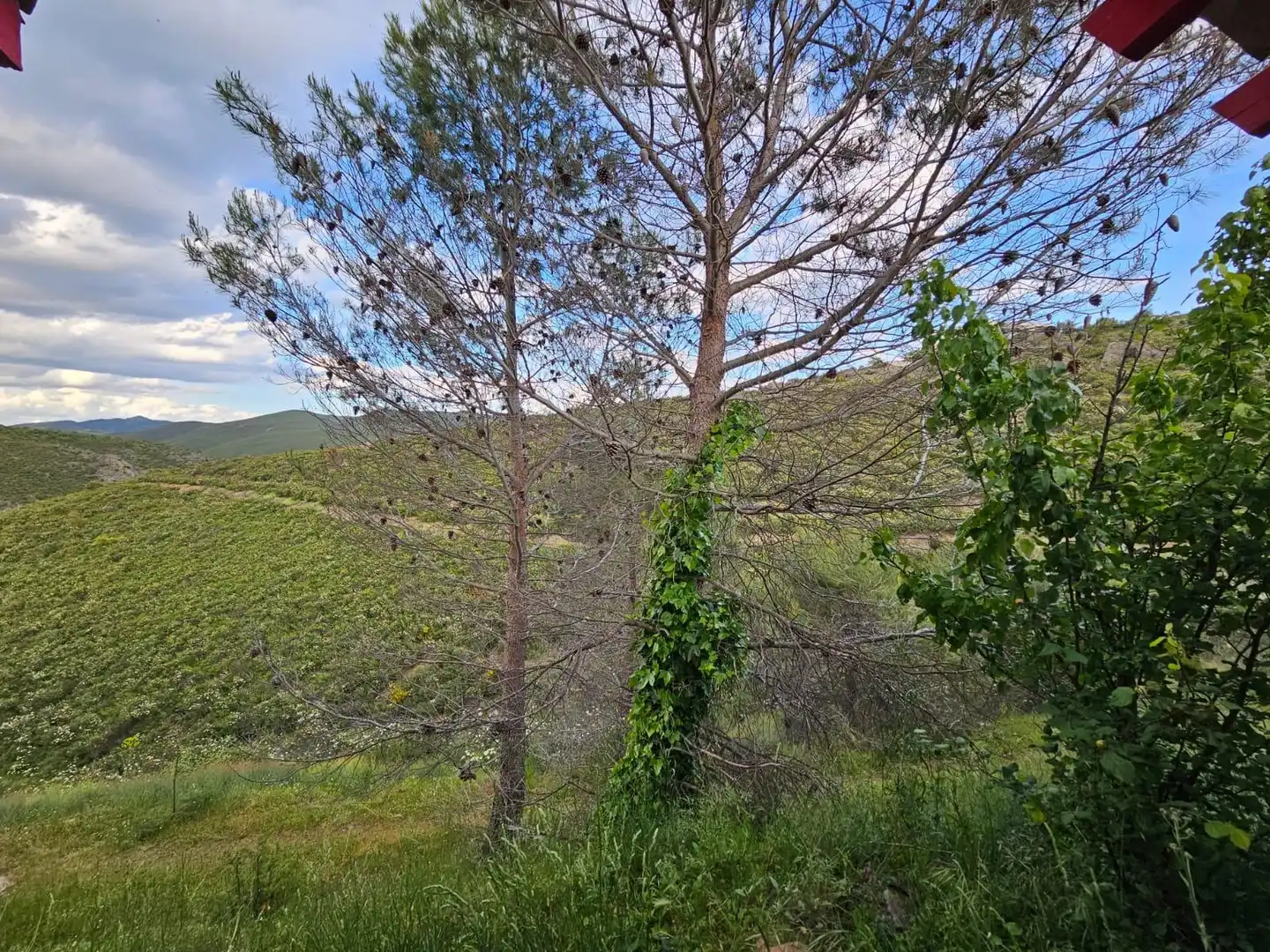 Houses for sale in Torremocha de Jarama  with Heating, Private garden and Terrace