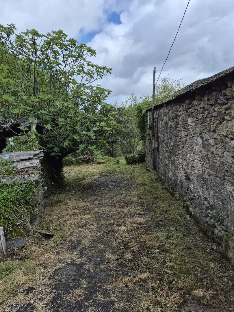 Finca rústica en venta en As Somozas  con Jardín privado