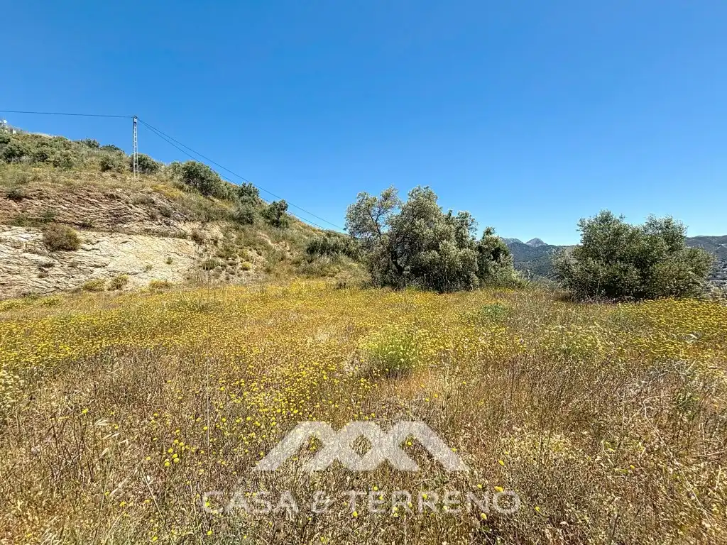 Land for sale in Canillas de Albaida