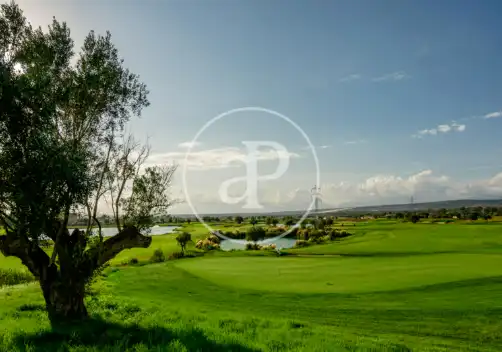 Casa o chalet en venta en Son Gual