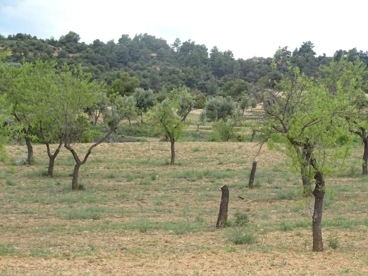Finca rústica en venta en Cretas