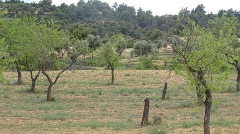 Photo 5 of Country homes for sale in Cretas, Teruel