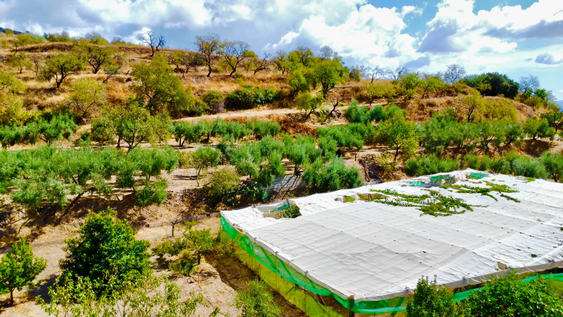 Terreno rustico in vendita a N/A, imagen 5