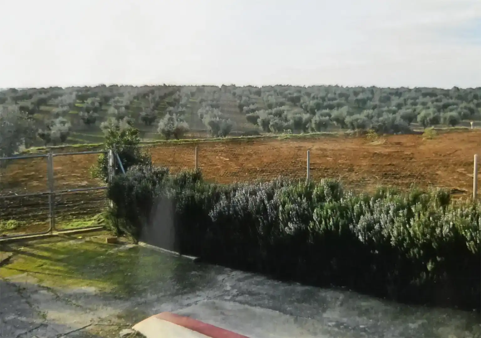 Finca rústica en venda a Carretera Guareña, 47, Cristina