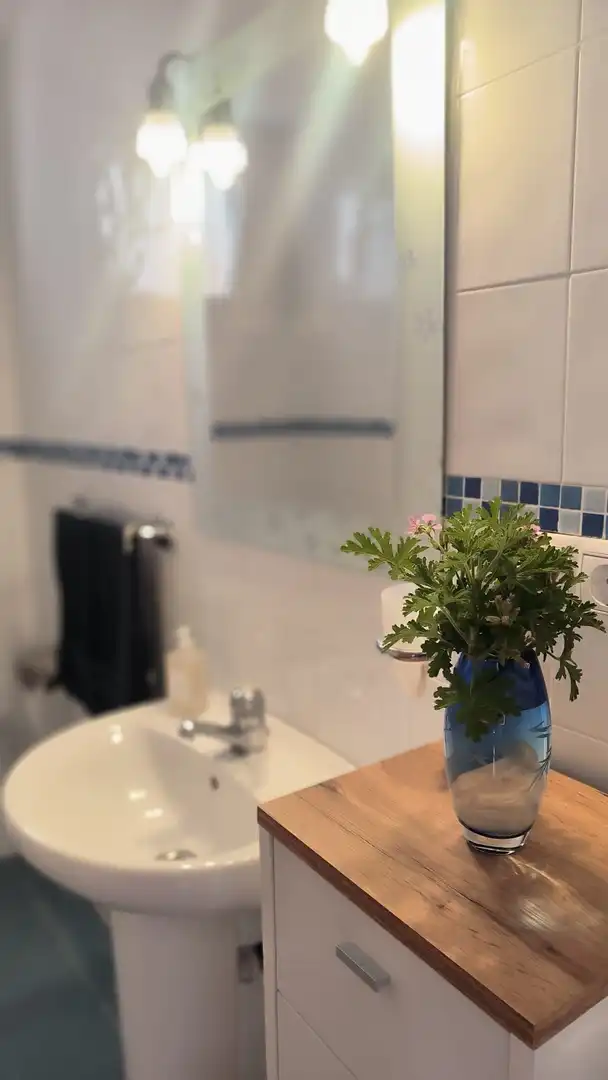Casa o chalet en venta en Coloma