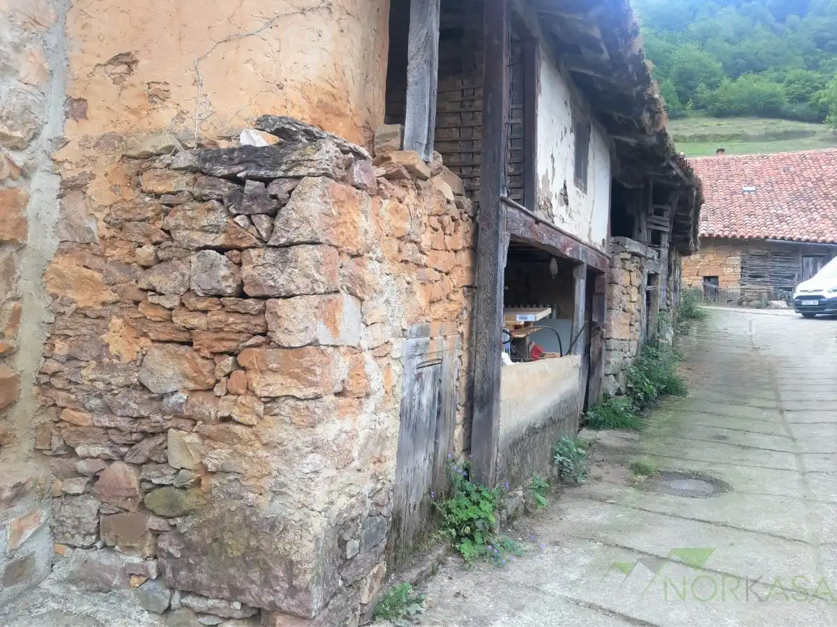Vista exterior de Casa o chalet en venta en Teverga