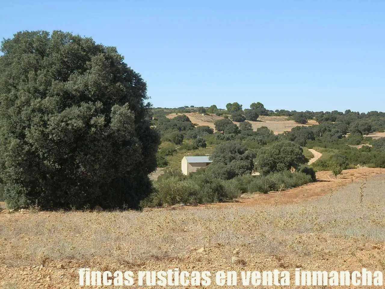Terreno en venta en Albacete