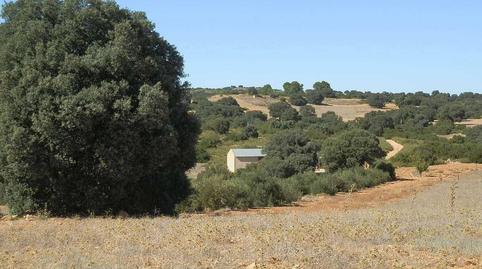 Photo 4 of Land for sale in San Antonio Abad, Albacete