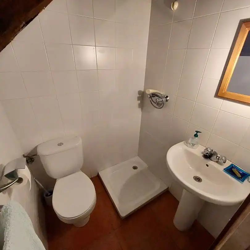 Baño de Casa o chalet en venta en Otxandio