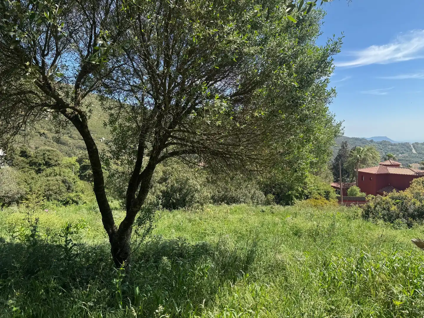 Residential zum Verkauf in El Cuartón - El Bujeo