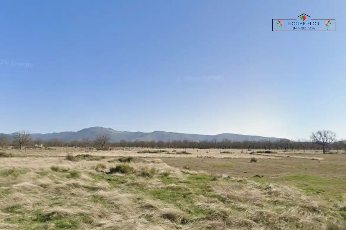 Finca rústica en venta en San Martín del Castañar