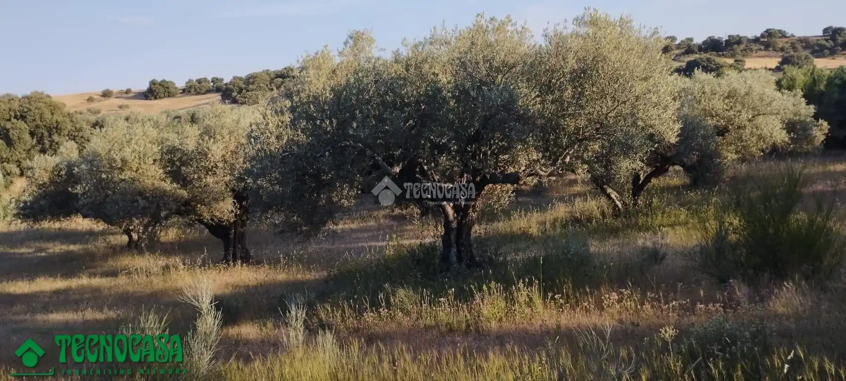 Terreni e lotti in vendita a Méntrida, imagen 9