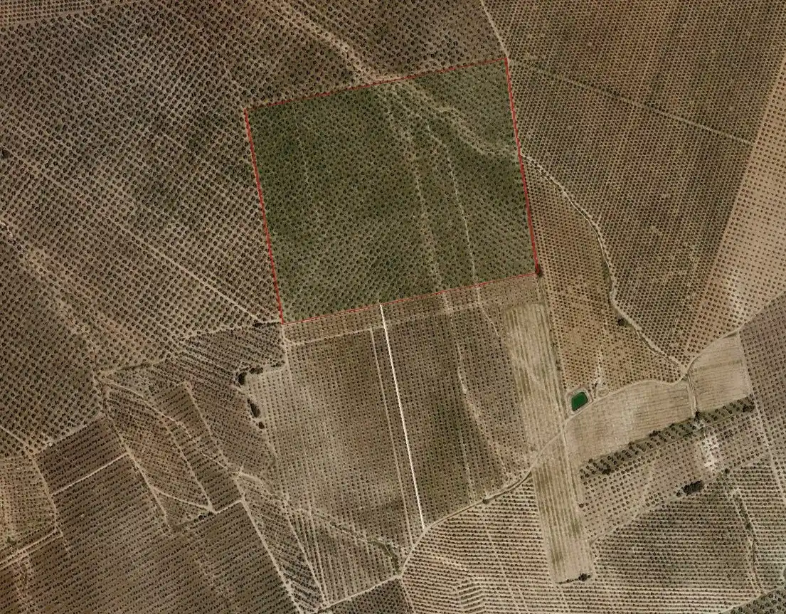 Terreno en venta en Estepa